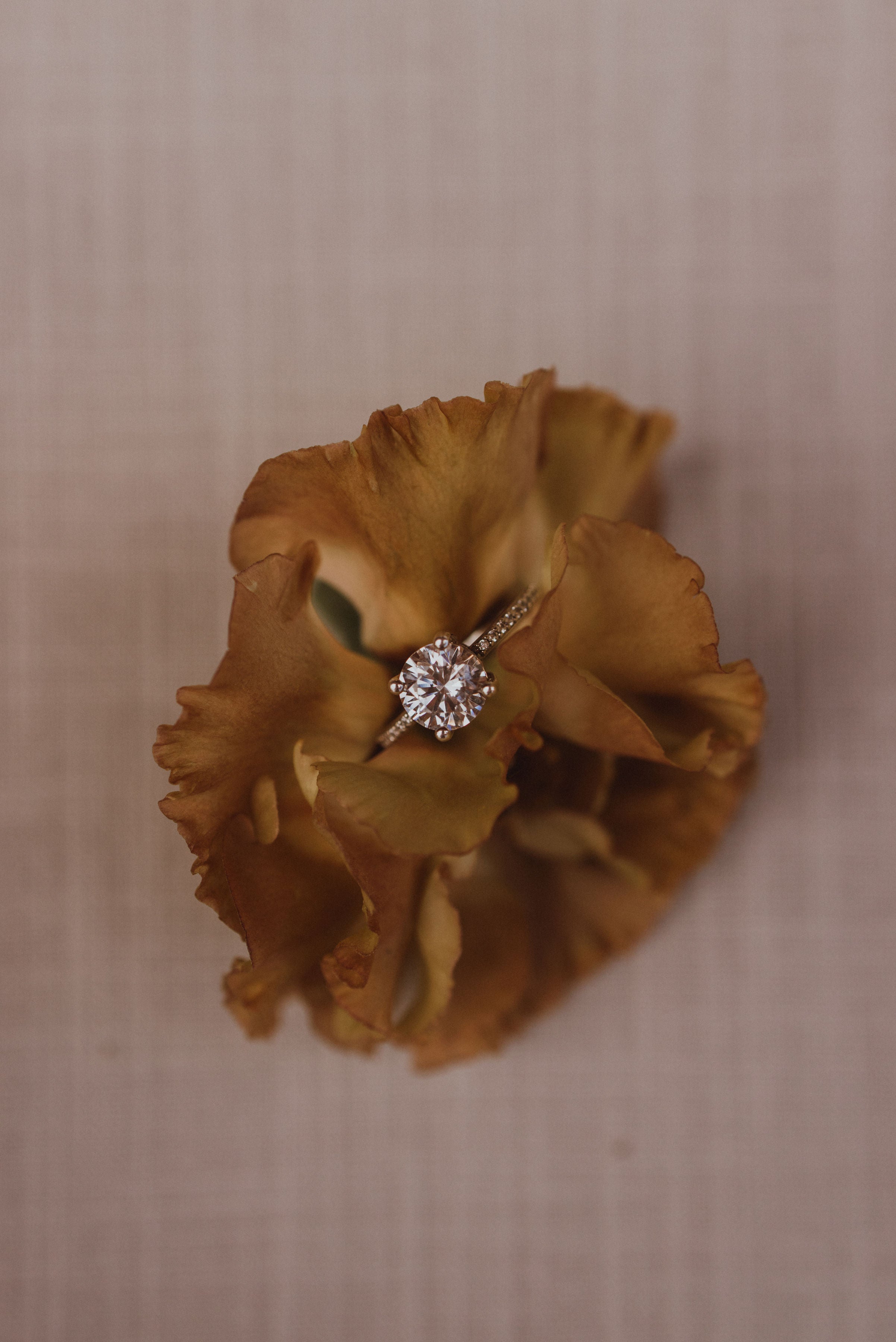 Engagement Rings